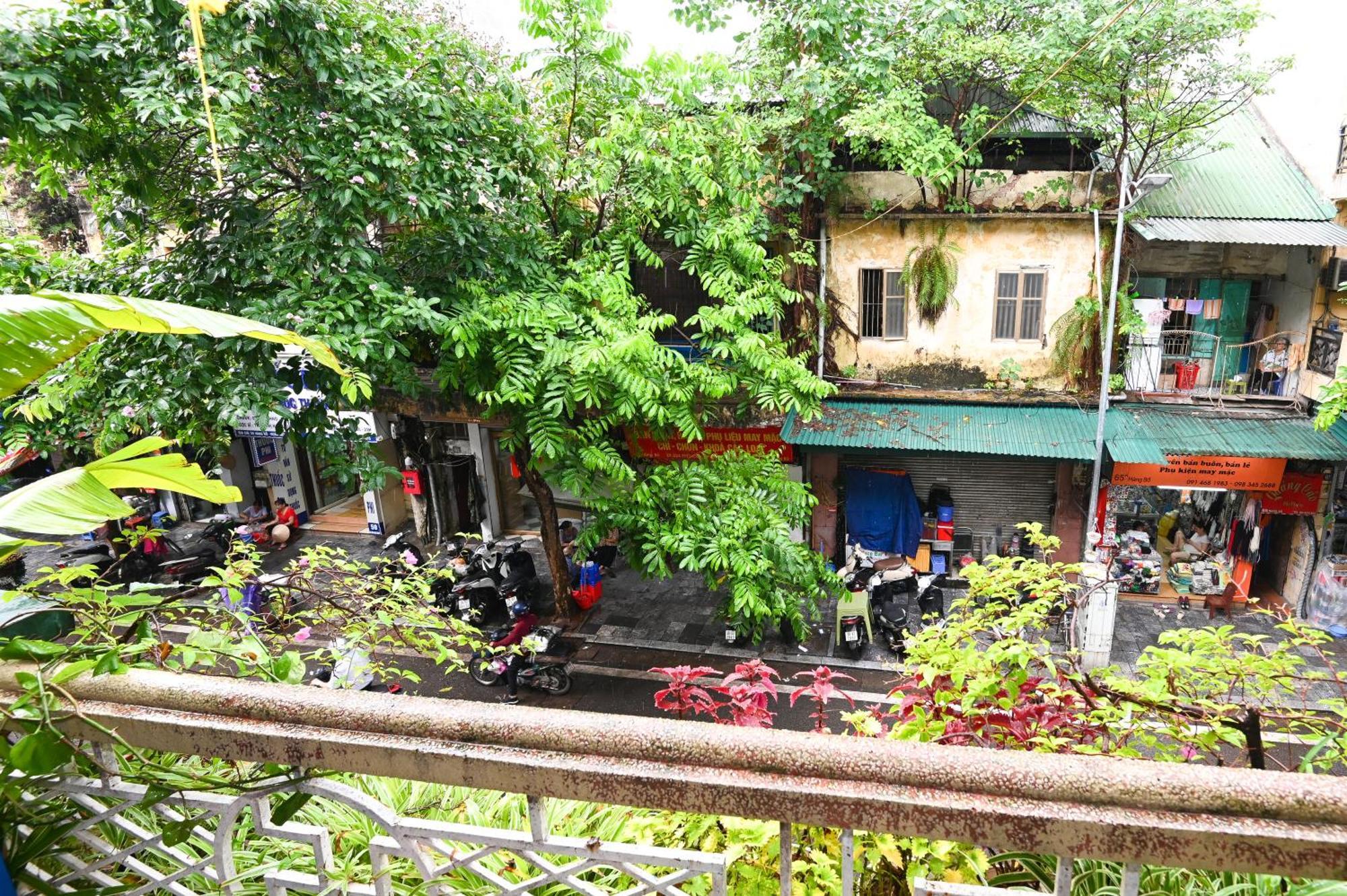 Sunny Hanoi Homestay エクステリア 写真